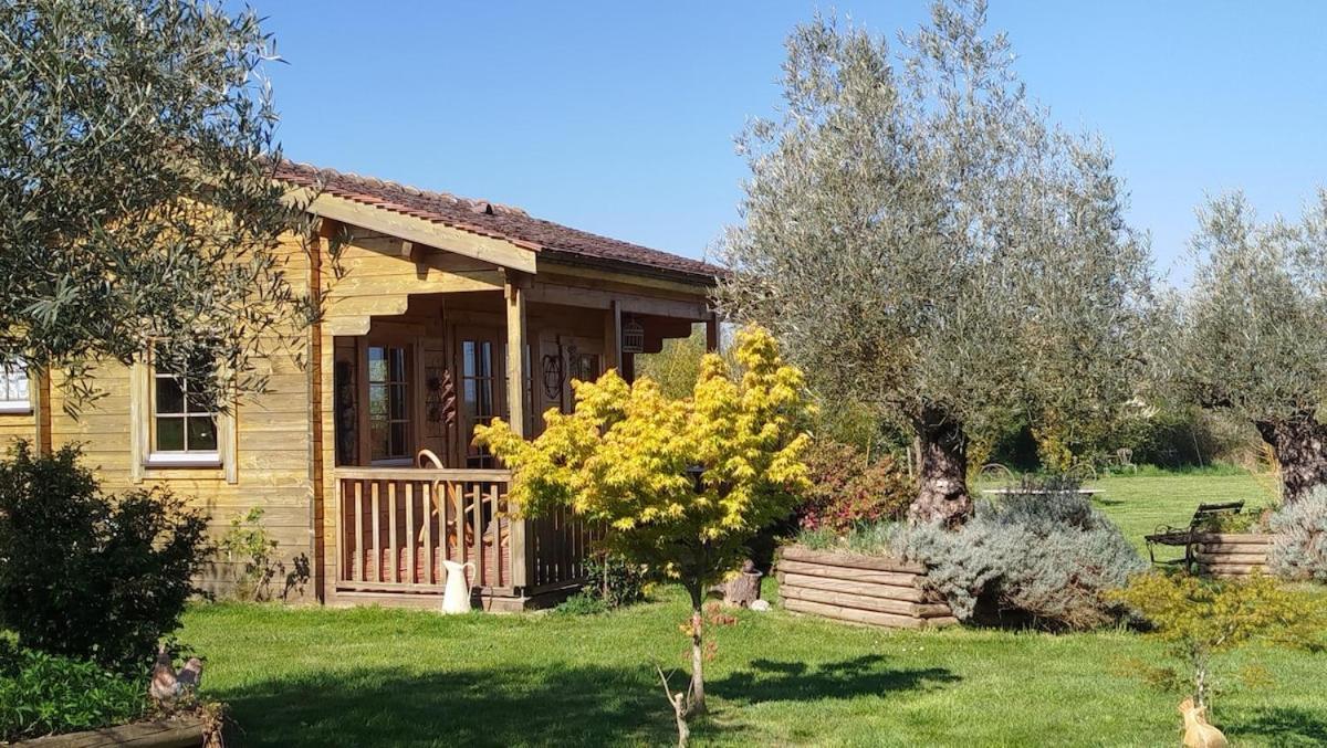 Chalet Bois Pleine Campagne A Pontigny Exterior foto