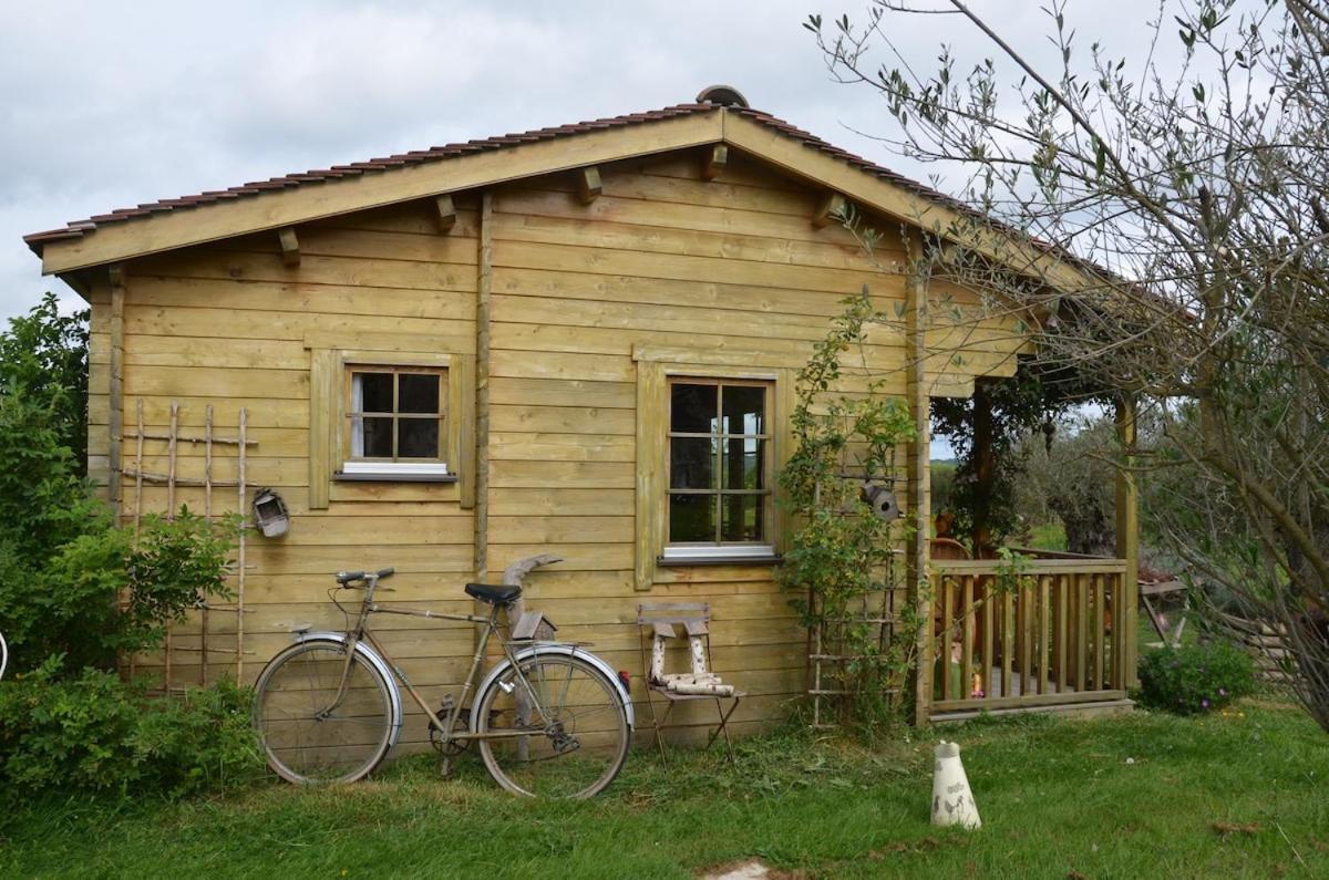 Chalet Bois Pleine Campagne A Pontigny Exterior foto